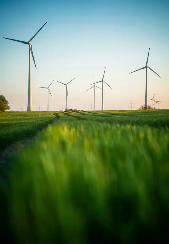 Über den Tag hinaus – die Energie der Erde